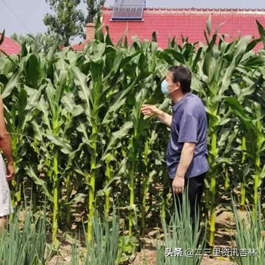 捐赠旧衣物地址及重要性，爱心助力温暖需要帮助的人