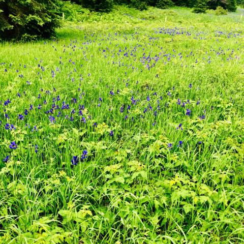农民医生的最新章节，田野守护者之希望篇章
