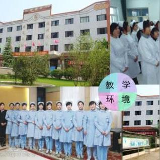 船员薪酬趋势分析，最新报告揭示船员薪资水平