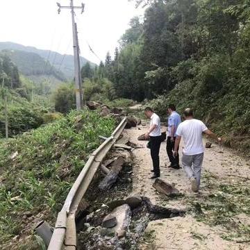 雅安地震最新死亡人数统计及分析报告