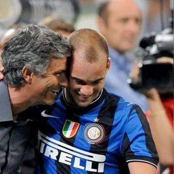 速成鸡毛鸡最新价格行情分析