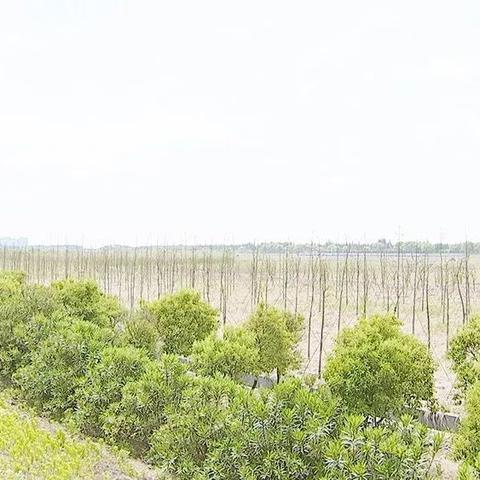 常熟福山招聘最新动态通知