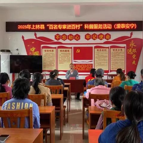 水稻价格行情分析（最新消息，2023年）