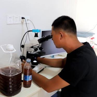 浙江青虾养殖新技术揭秘