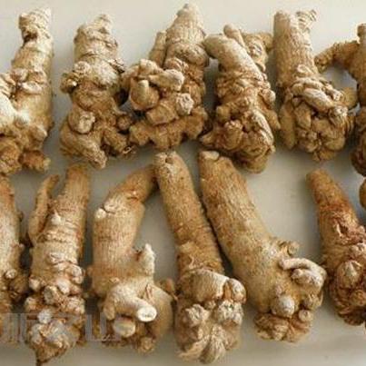 文山三七未来价格预测，2025年最新行情分析