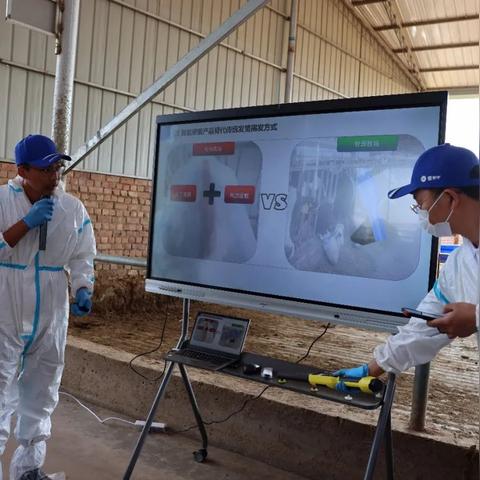 宁夏蒙牛最新招聘信息发布