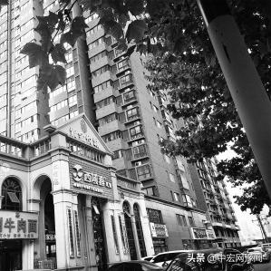 紫金悦城最新动态更新