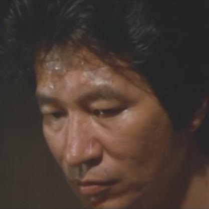 日本伦理文化深度探究