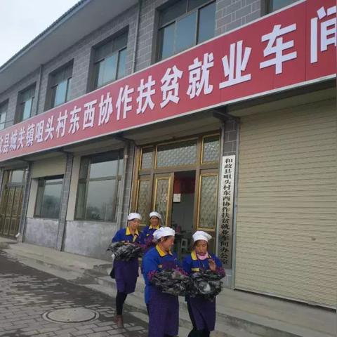 厦门集美新闻今日热点报道速递