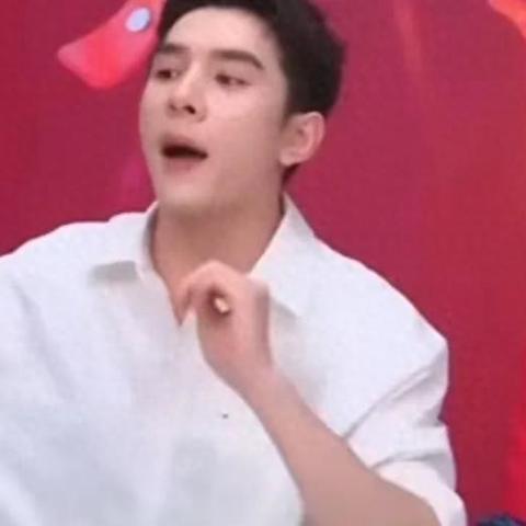 京东新代言人引领电商新纪元