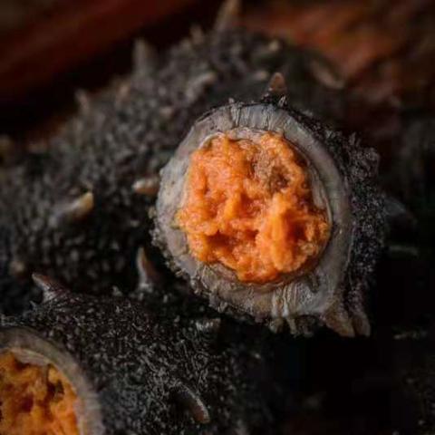 壹桥海参最新公告发布