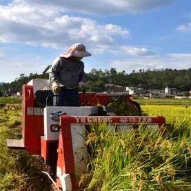 广东龙川新闻热点更新速递