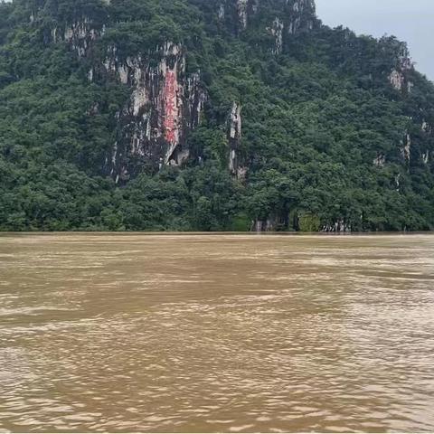 广西武宣最新新闻动态报道