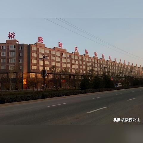 周至苗木求购信息与市场分析概览