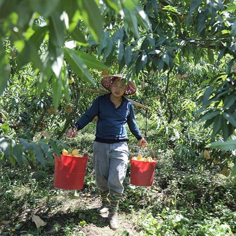 江西莲花最新新闻动态