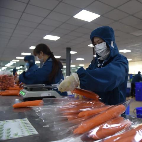 延平最新招聘信息汇总