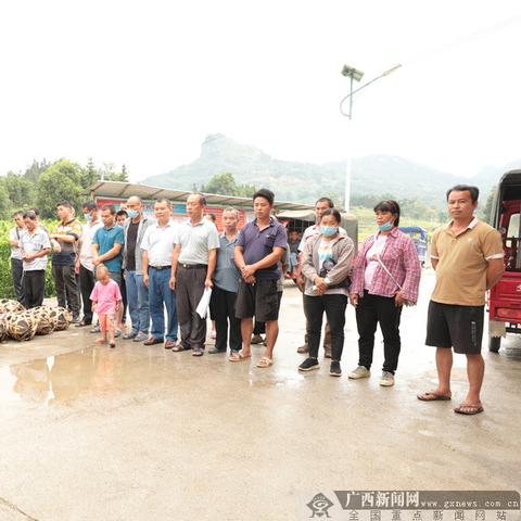 环江县最新新闻动态报道速递