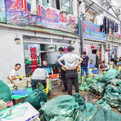 螃蟹价格行情最新市场分析