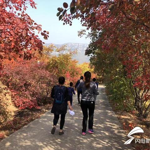 济南章丘最新新闻动态报道速递