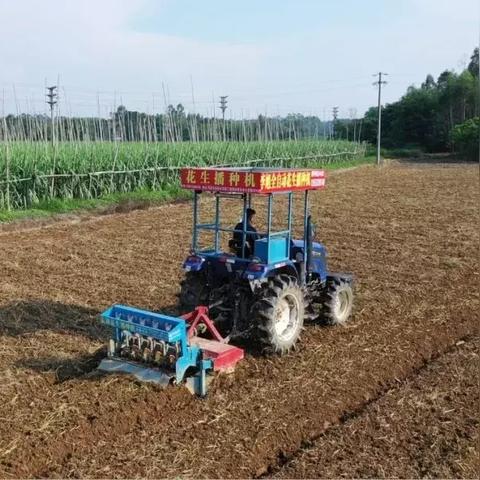 花生新品种特性概览