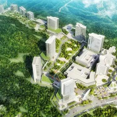 最新码头正面吊操作员招聘启事