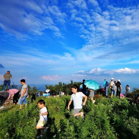 重庆酉阳，最新新闻报道速递