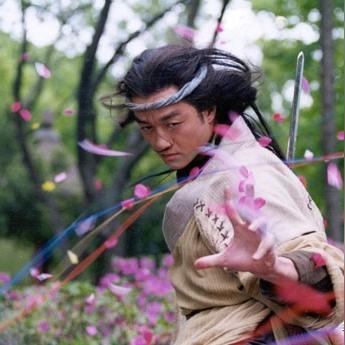 葵花小子新作深度解析