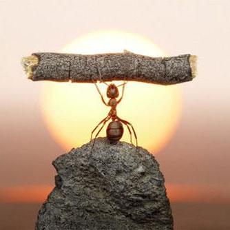 凤凰天使泰剧新热门剧集深度解析