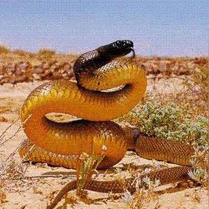 最新Windows系统特性与优势详解