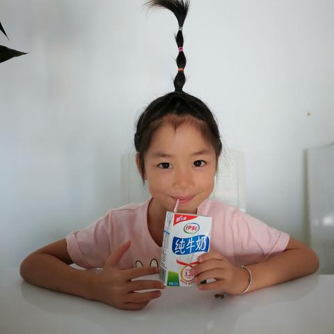 楠楠直播最新观察报告分析