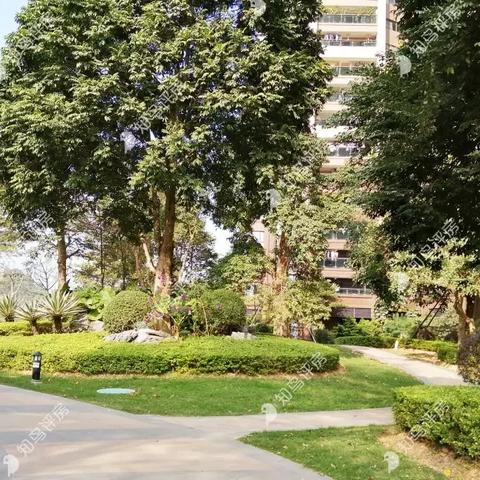 东莞长安最新楼盘解析