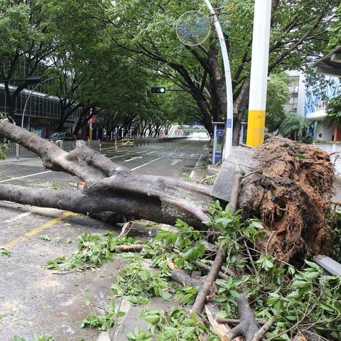 深圳帕卡台风实时动态更新分析