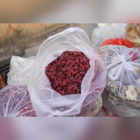 北京早市招商启幕，共创未来繁荣商机无限