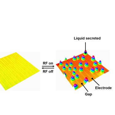 2025QQ皮肤最新版，全新设计与功能体验详解