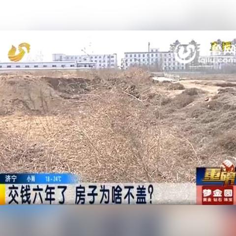 淄博君临天下最新资讯报道