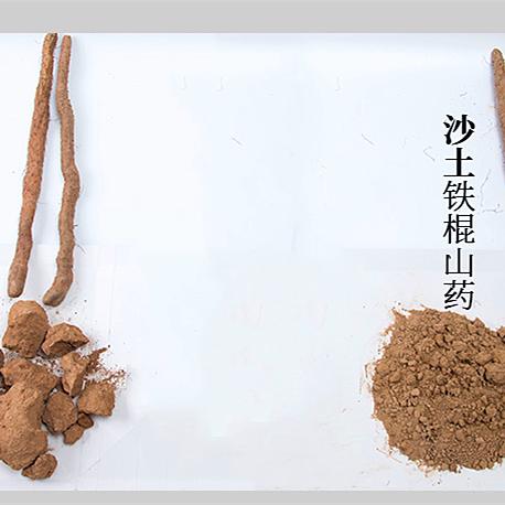 河北山药价格行情最新分析