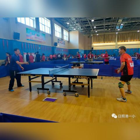 山东钢铁日照最新动态消息速递