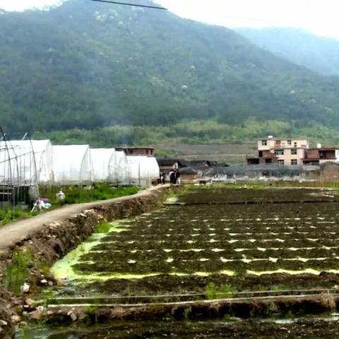 郑州农业高架最新进展消息