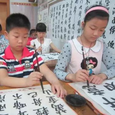 师训宝管理端最新版，重塑教育训练新时代