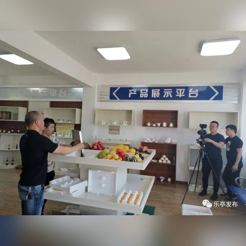 乐亭人才市场招聘信息更新解读