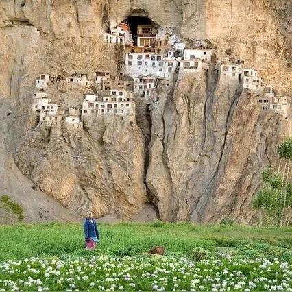 山东山水水泥最新动态报道