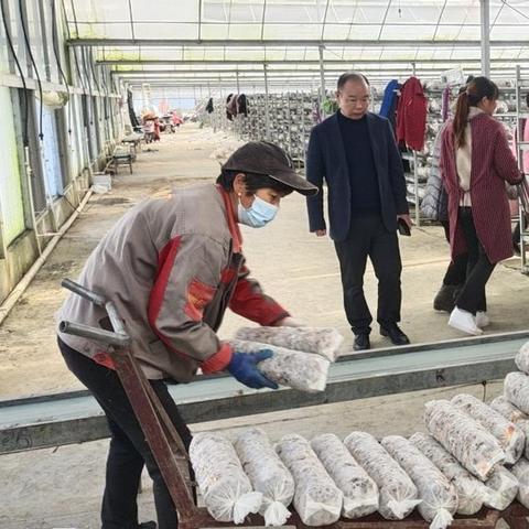 河南国企最新招聘解读