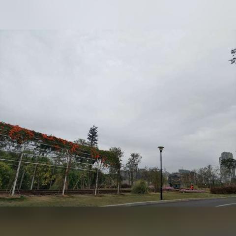 南化搬迁最新动态消息速递