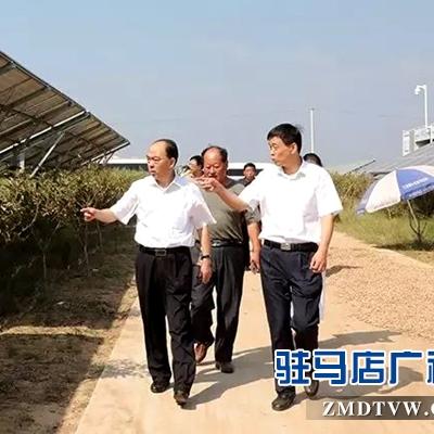 河南上蔡县新闻速递