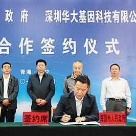 华大基因最新上市动态，迈向全球基因科技领先之路