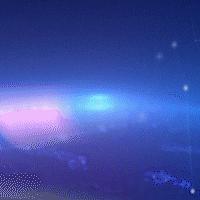 揭秘卖片微信最新动态，数字背后的真相