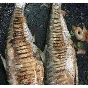 草鱼塘口价格行情解析