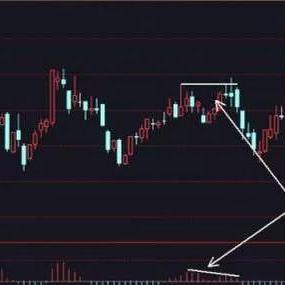 新大洲股票最新动态深度解读