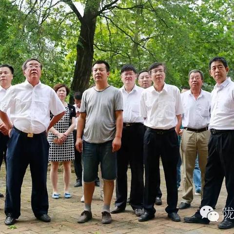 阮文易最新动态消息速递