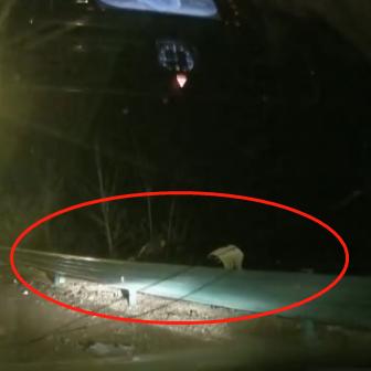 天长驾驶员最新招聘启事